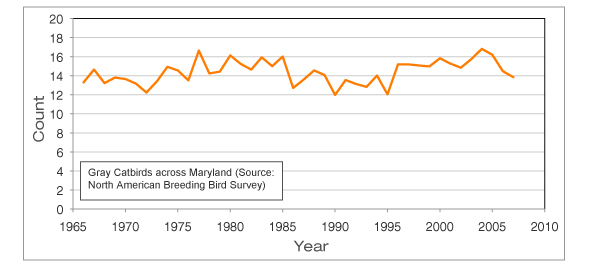 Maryland Catbirds 1966-2007