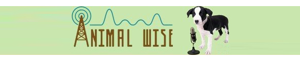 Animal Wise Radio Logo 